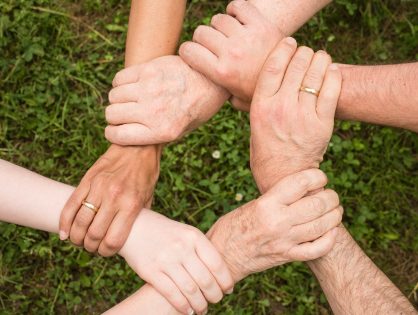 ¿Qué hacemos en cada Consejería del CECVA?